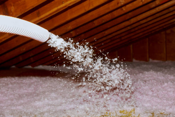 Best Insulation Maintenance and Repair in Louisa, VA