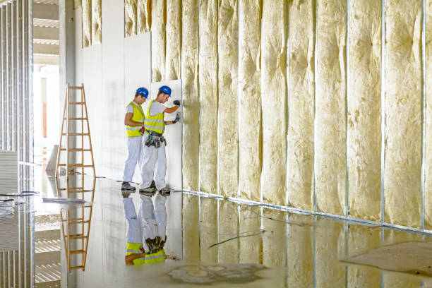 Best Commercial Insulation in Louisa, VA